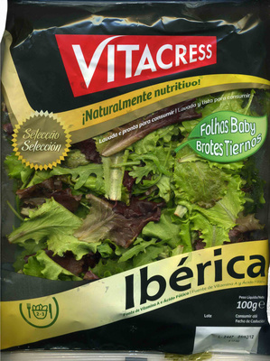 Ibérica Alface Verde, Alface Roxa e Rúcula Selvagem