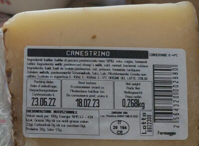Canestrino